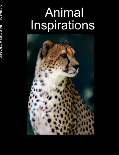 Animal Inspirations