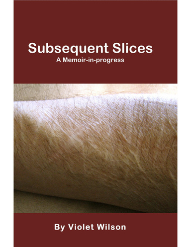 Subsequent Slices: A Memoir-In-Progress