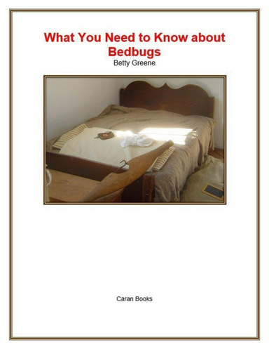 What You Need to Know About Bedbugs