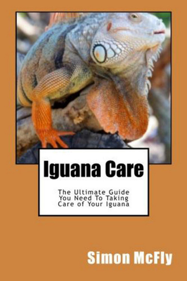 Iguana Care - The Ultimate Guide You Need To Taking Care of Your Iguana