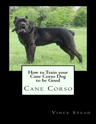 How to Train your Cane Corso Dog to be Good