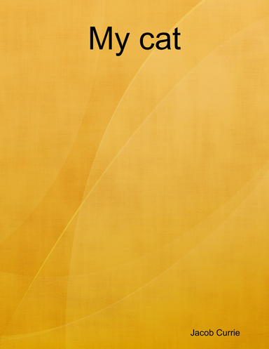 My cat