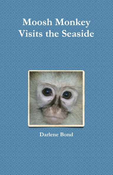 Moosh Monkey Visits the Seaside