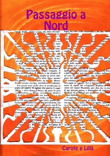 Passaggio a Nord