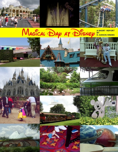 Magical Day at Disney
