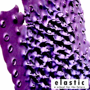 Elastic: A School for the Future