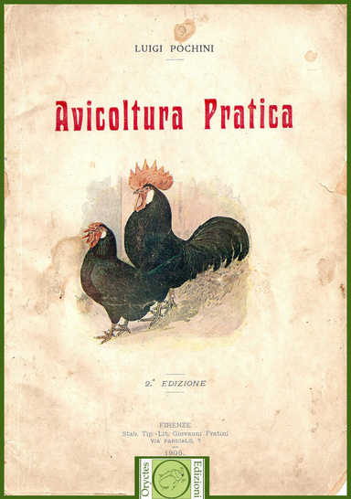 Avicoltura pratica - di Luigi Pochini (1905)