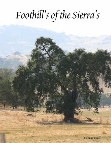 Foothill's of the Sierra's