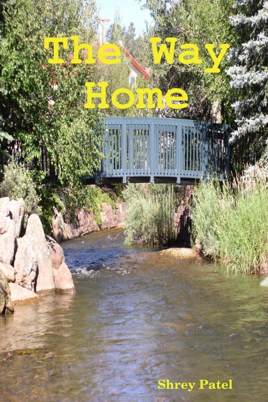 The Way Home