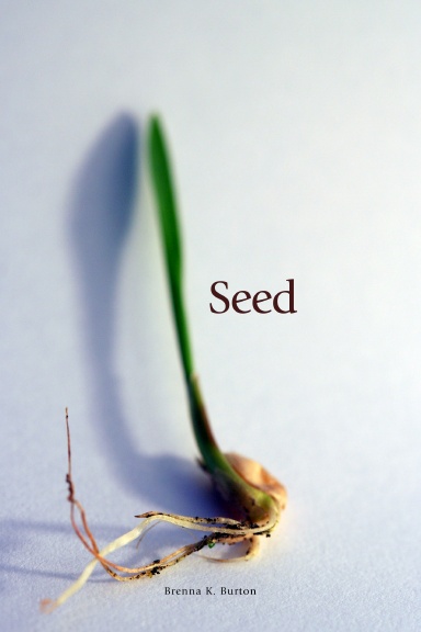 Seed