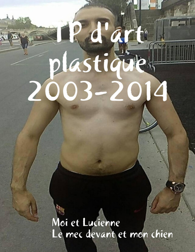 TP d'art plastique 2003-2014