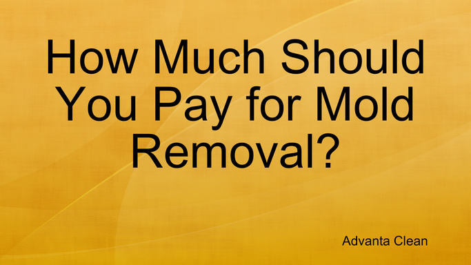 How Much Should You Pay for Mold Removal?