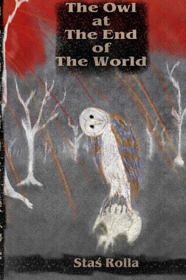 The Owl at The End of The World