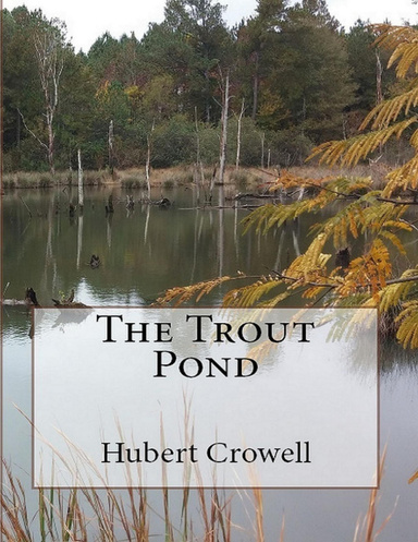 The Trout Pond