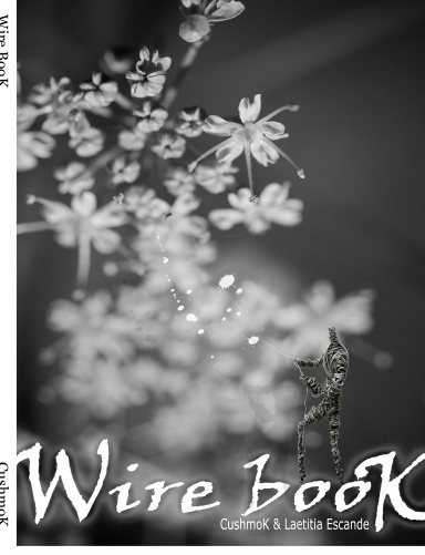 Wire BooK