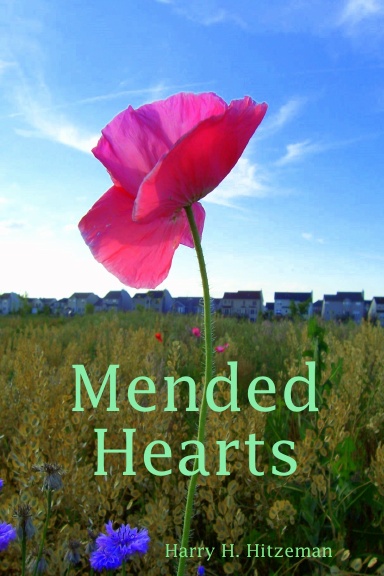 Mended Hearts