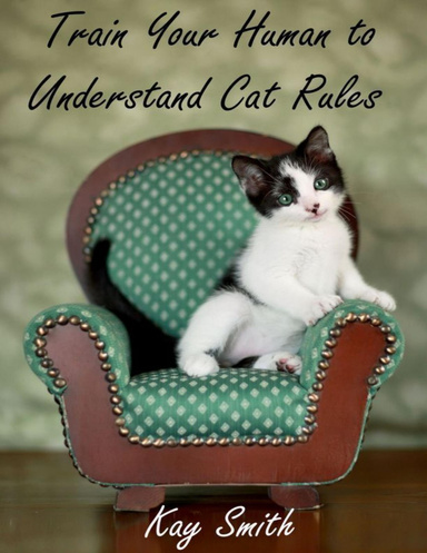 Train Your Human to Understand Cat Rules