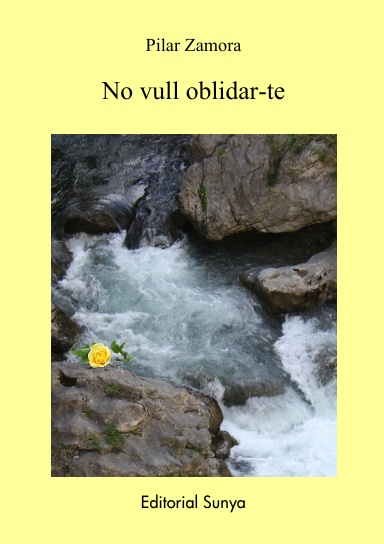 No vull oblidar-te