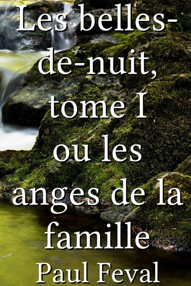 Les belles-de-nuit, tome I ou les anges de la famille [French]