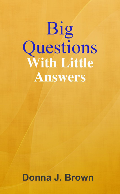 Big Questions With Little Answers