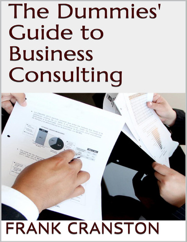 The Dummies' Guide to Business Consulting