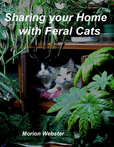 Sharing Your Home With Feral Cats