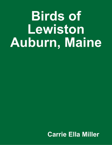 Birds of Lewiston Auburn, Maine