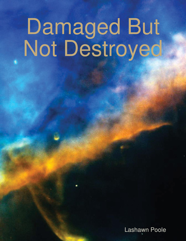 Damaged But Not Destroyed