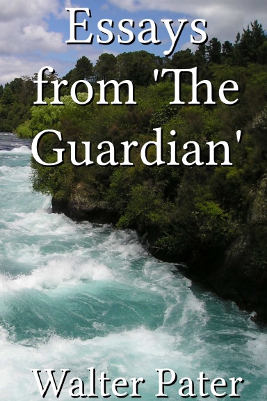 Essays from 'The Guardian'