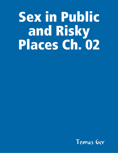 Sex in Public and Risky Places Ch picture