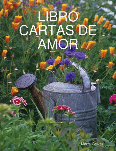 LIBRO CARTAS DE AMOR