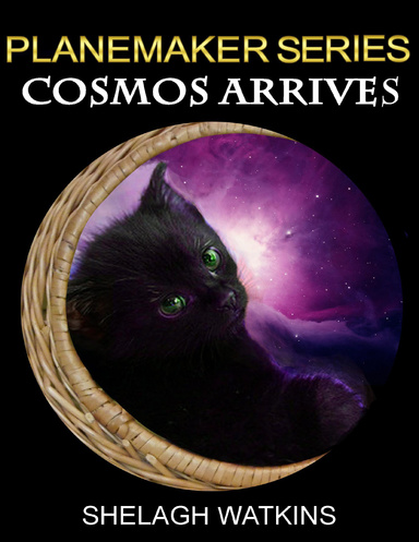 Planemaker Series: Cosmos Arrives