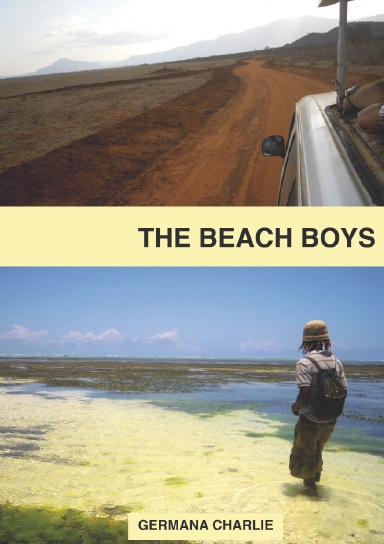 The Beach Boys