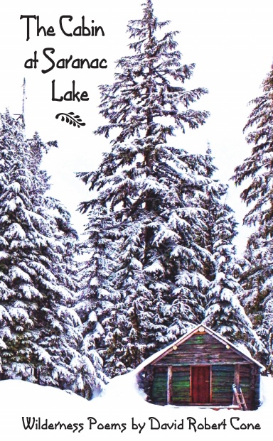 The Cabin at Saranac Lake