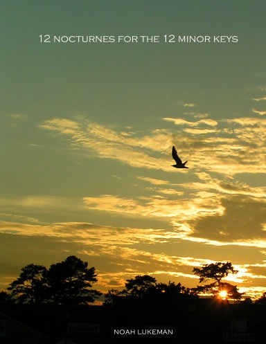 12 Nocturnes for the 12 Minor Keys