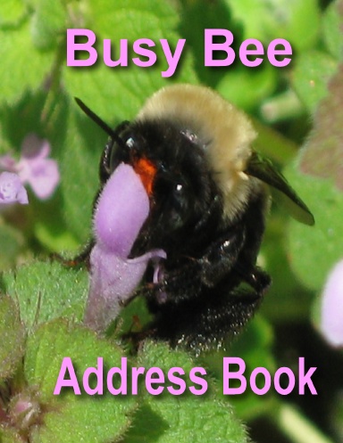 Busy Bee Address Book