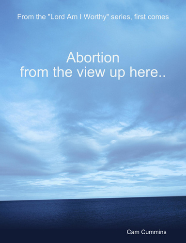 "Lord Am I Worthy"  Abortion from the view up here...