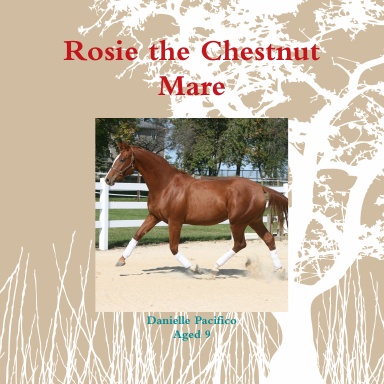 Rosie the Chestnut Mare