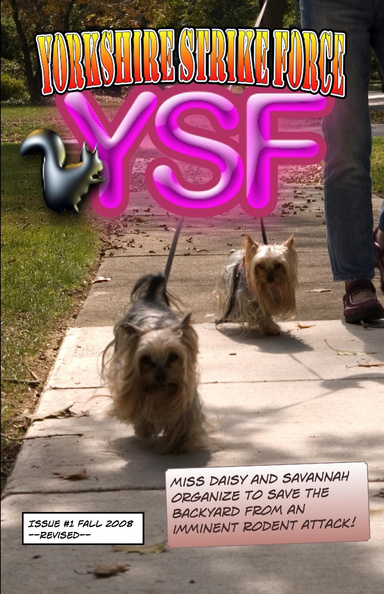 The Yorkshire Strike Force
