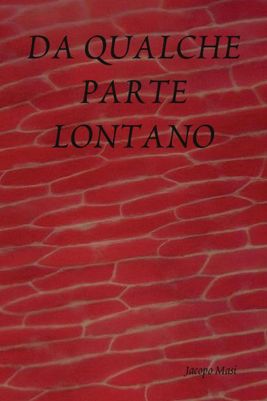 DA QUALCHE PARTE LONTANO