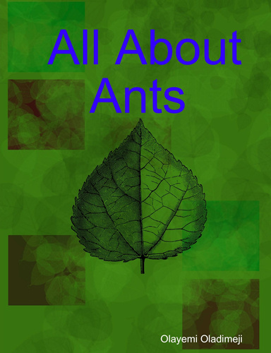 All About Ants