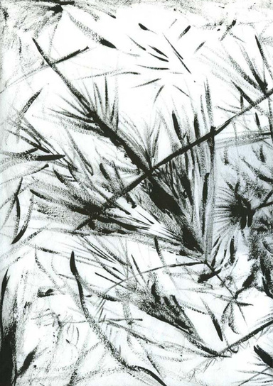 where the tidal goes