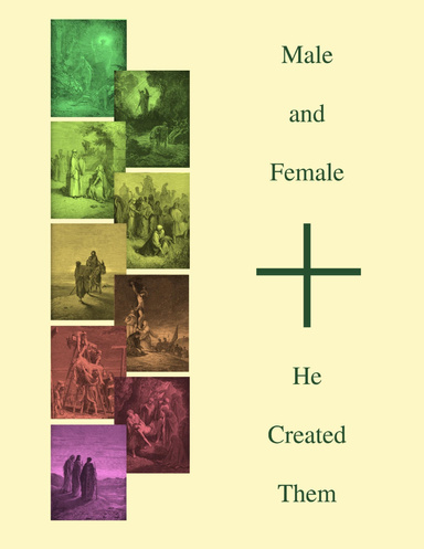 Male and Female - He Created Them