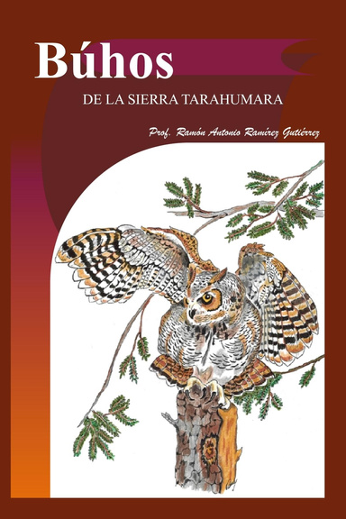 Búhos de la Sierra Tarahumara ed 2010