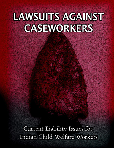 LAWSUITS AGAINST CASEWORKERS