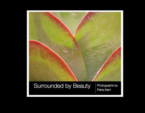 Surrounded by Beauty