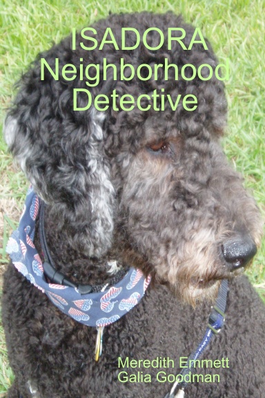 ISADORA Neighborhood Detective