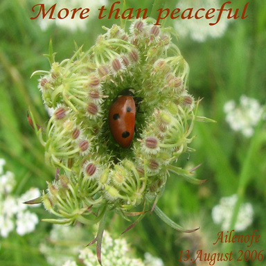 More than peaceful