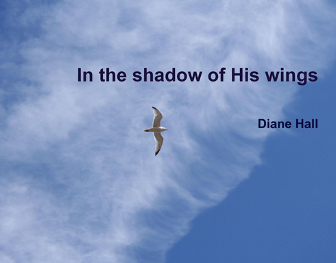 In the shadow of His wings