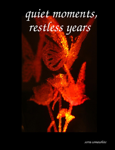quiet moments, restless years